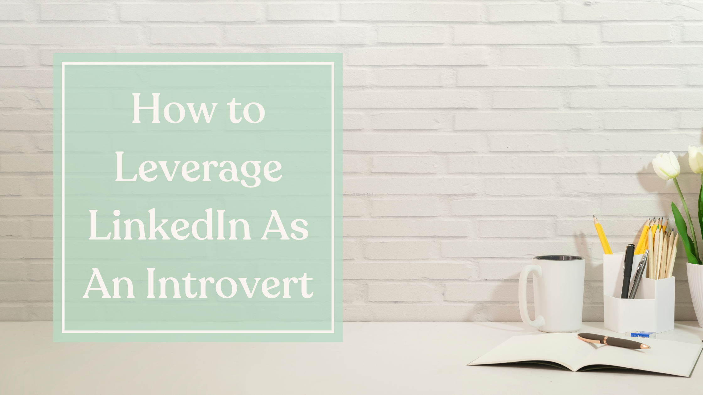 How to Leverage LinkedIn As An Introvert